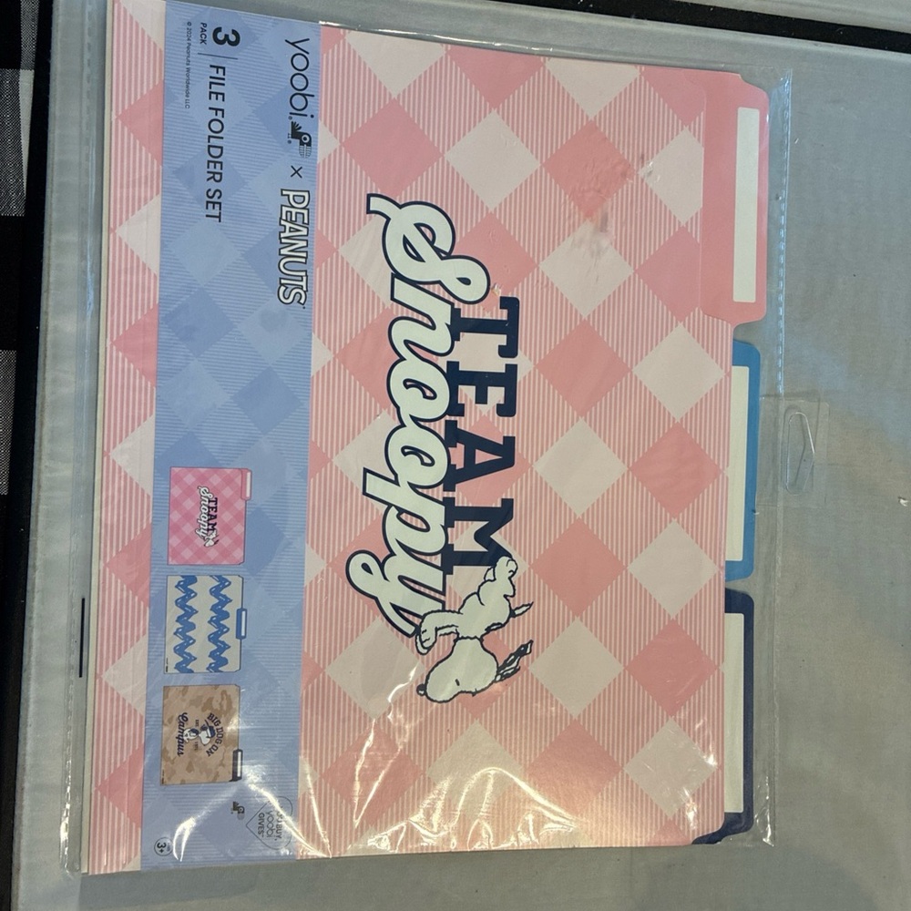 Peanuts Snoopy Pink and Blue File Folder Set